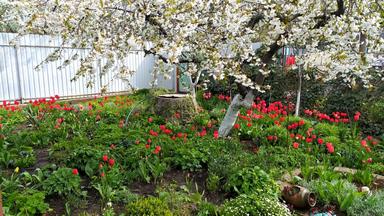 House by the address st. Ayvazovskogo (area 58 m²) - Atlanta.ua - photo 32