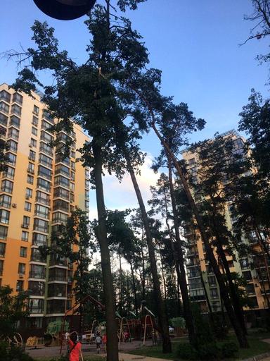 3-кімнатна квартира за адресою вул. Анатолія Петрицького (площа 93,7 м²) - Atlanta.ua - фото 50