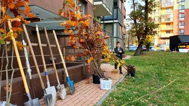 3-кімнатна квартира за адресою вул. Анатолія Петрицького (площа 93,7 м²) - Atlanta.ua - фото 52