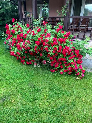 Дом по адресу (площадь 375 м²) - Atlanta.ua - фото 69