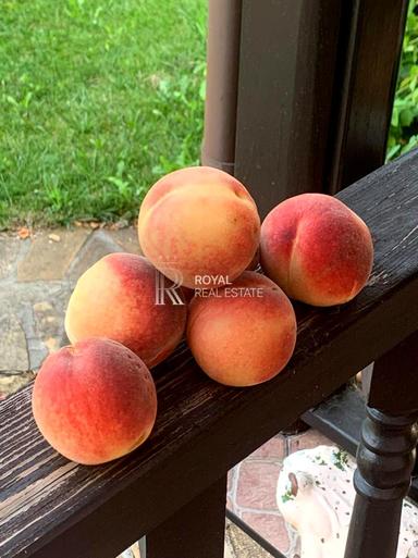 Дом по адресу (площадь 375 м²) - Atlanta.ua - фото 71