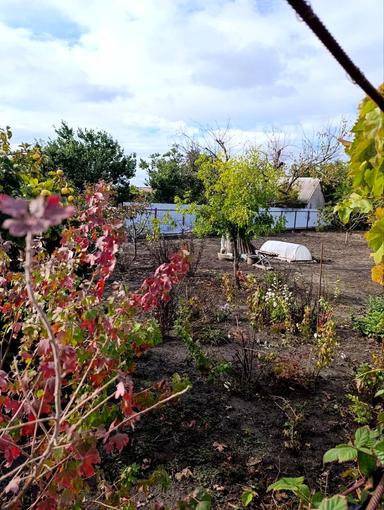 House by the address (area 114 m²) - Atlanta.ua - photo 26