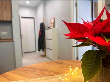 1-комнатная квартира по адресу Балтийский пер. (площадь 33 м²) - Atlanta.ua - фото 12