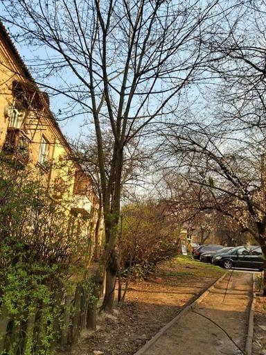 3-rooms apartment apartment by the address (area 60 m²) - Atlanta.ua - photo 20