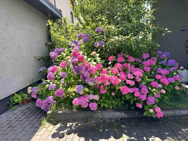 Дом по адресу (площадь 75 м²) - Atlanta.ua - фото 71