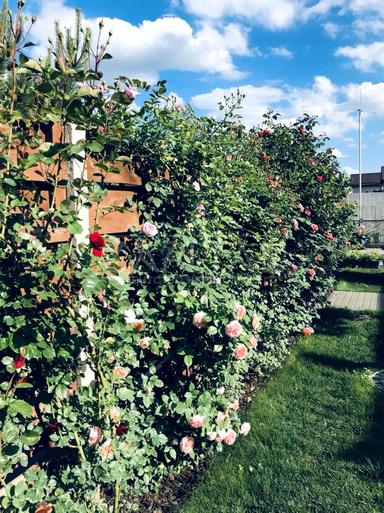 Дом по адресу (площадь 75 м²) - Atlanta.ua - фото 75