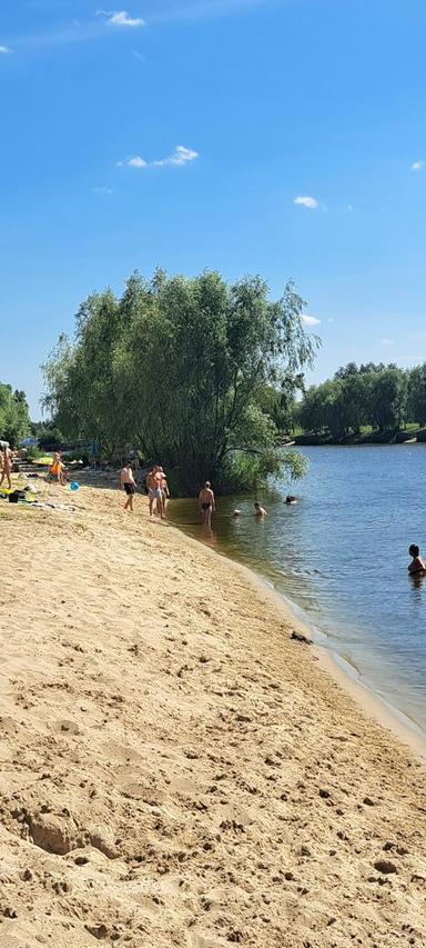 Дом по адресу Люстдорфская дор. (площадь 260 м²) - Atlanta.ua - фото 50