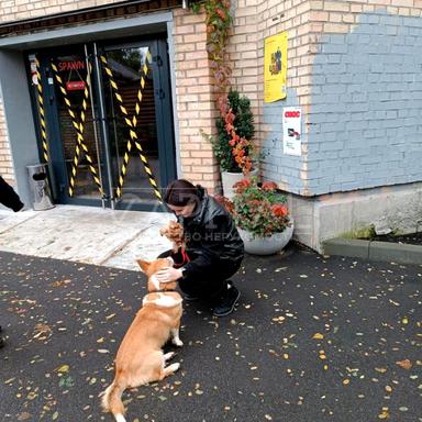 Commercial real estate at st. Ul Kirillovskaya (area 40 m²) - Atlanta.ua - photo 10