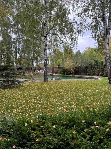 Дом по адресу (площадь 300 м²) - Atlanta.ua - фото 23