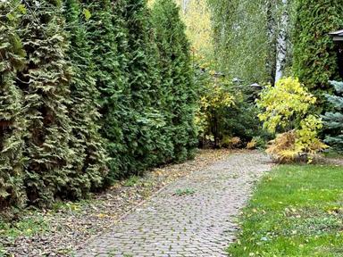 Дом по адресу (площадь 300 м²) - Atlanta.ua - фото 24