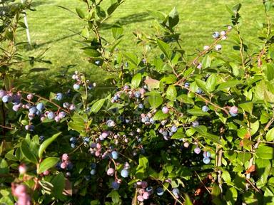 Дом по адресу (площадь 360 м²) - Atlanta.ua - фото 38