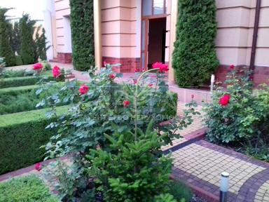 Дом по адресу (площадь 925 м²) - Atlanta.ua - фото 13