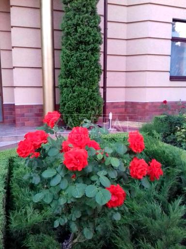 Дом по адресу (площадь 925 м²) - Atlanta.ua - фото 16