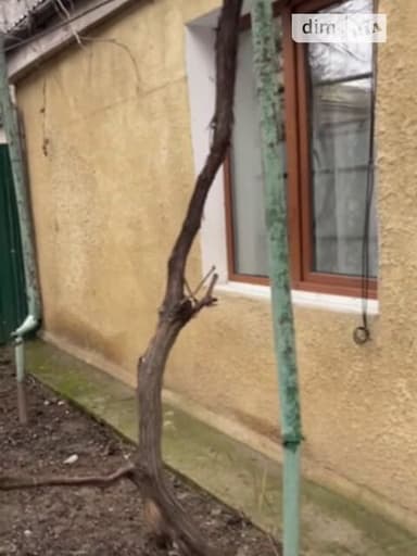 Дом по адресу Севастопольский пер. (площадь 52,4 м²) - фото 25 Дом по адресу Севастопольский пер. (площадь 52,4 м²) - Atlanta.ua - фото 25
