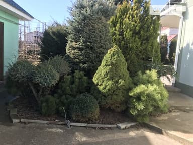 Дом по адресу (площадь 127 м²) - imageAlt 22 Дом по адресу (площадь 127 м²) - Atlanta.ua - imageAlt 22