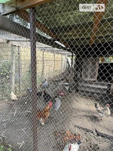 Дом по адресу ул. Мира (площадь 120 м²) - imageAlt 14 Дом по адресу ул. Мира (площадь 120 м²) - Atlanta.ua - imageAlt 14