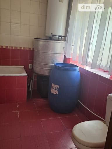 Будинок за адресою вул. Грушевського (площа 80 м²) - фото 24 Будинок за адресою вул. Грушевського (площа 80 м²) - Atlanta.ua - фото 24