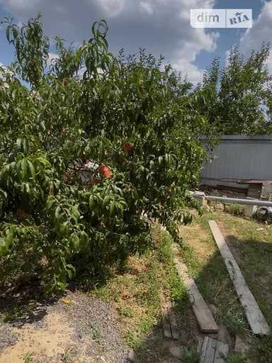 Дом по адресу Курортный 1-й пер. (площадь 180 м²) - imageAlt 42 Дом по адресу Курортный 1-й пер. (площадь 180 м²) - Atlanta.ua - imageAlt 42