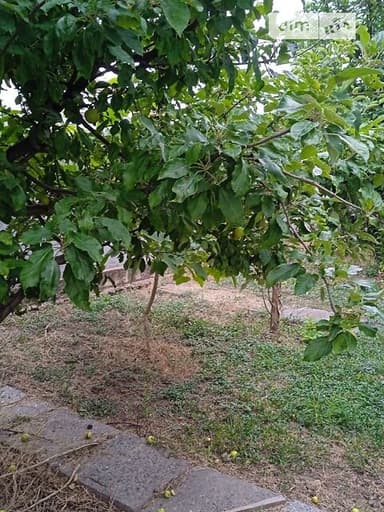 Будинок за адресою вул. Сонячна (площа 279,3 м²) - фото 36 Будинок за адресою вул. Сонячна (площа 279,3 м²) - Atlanta.ua - фото 36