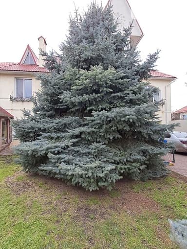 Дом по адресу ул. Петрашевского (площадь 550 м²) - фото 28 Дом по адресу ул. Петрашевского (площадь 550 м²) - Atlanta.ua - фото 28