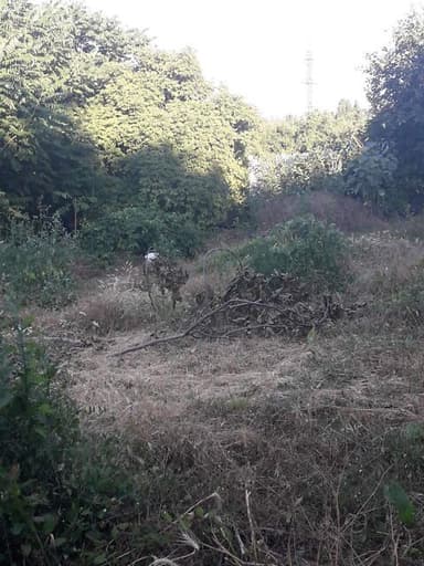 Будинок за адресою вул. Гладкова (площа 70 м²) - фото 16 Будинок за адресою вул. Гладкова (площа 70 м²) - Atlanta.ua - фото 16