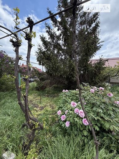 Дом по адресу ул. Молодежная (площадь 70 м²) - фото 16 Дом по адресу ул. Молодежная (площадь 70 м²) - Atlanta.ua - фото 16