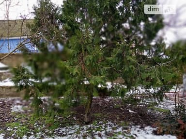 Дом по адресу ул. Черноморцев (площадь 307 м²) - imageAlt 20 Дом по адресу ул. Черноморцев (площадь 307 м²) - Atlanta.ua - imageAlt 20