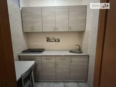 Коммерческая недвижимость по адресу ул. Парусная (площадь 24,2 м²) - imageAlt 18 Коммерческая недвижимость по адресу ул. Парусная (площадь 24,2 м²) - Atlanta.ua - imageAlt 18