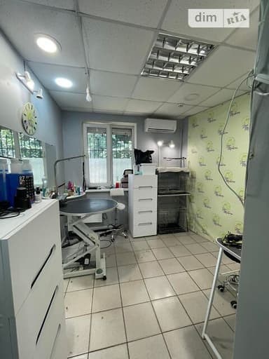 Коммерческая недвижимость по адресу Школьный пер. (площадь 89,3 м²) - imageAlt 23 Коммерческая недвижимость по адресу Школьный пер. (площадь 89,3 м²) - Atlanta.ua - imageAlt 23