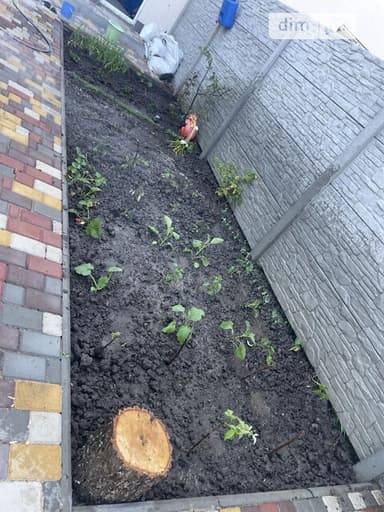 Дом по адресу ул. Спортивная (площадь 89 м²) - imageAlt 17 Дом по адресу ул. Спортивная (площадь 89 м²) - Atlanta.ua - imageAlt 17