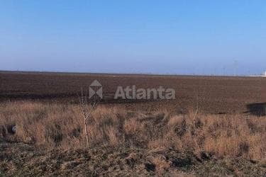 Ділянка за адресою вул. Масив 1 (площа 52,1 сот) - imageAlt 8 Ділянка за адресою вул. Масив 1 (площа 52,1 сот) - Atlanta.ua - imageAlt 8