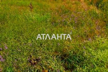 Landplot landplot (area 25,0 сот) - Atlanta.ua - photo 4