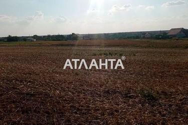 Landplot by the address st. Shevchenko 3 y per (area 10,0 сот) - Atlanta.ua - photo 6