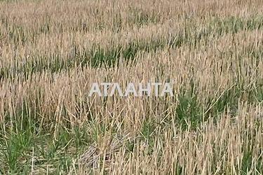 Ділянка за адресою (площа 5,0 сот) - Atlanta.ua - фото 24