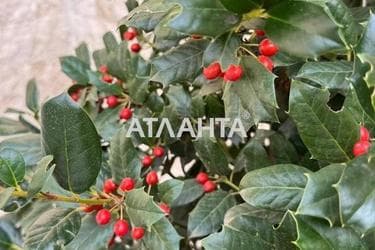 House by the address st. Ravenstva per (area 288,4 m²) - photo 56 House by the address st. Ravenstva per (area 288,4 m²) - Atlanta.ua - photo 56