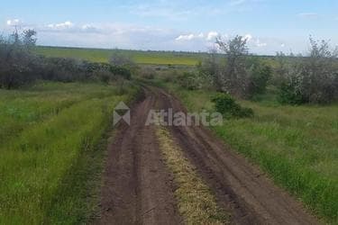 Участок по адресу (площадь 10 сот) - imageAlt 7 Участок по адресу (площадь 10 сот) - Atlanta.ua - imageAlt 7