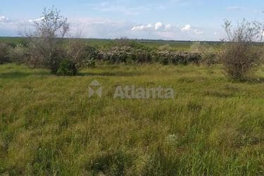 Участок по адресу (площадь 10 сот) - imageAlt 8 Участок по адресу (площадь 10 сот) - Atlanta.ua - imageAlt 8