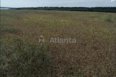 Участок по адресу (площадь 10 сот) - imageAlt 10 Участок по адресу (площадь 10 сот) - Atlanta.ua - imageAlt 10