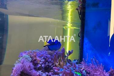 1-комнатная квартира по адресу Фонтанская дор. (площадь 40 м²) - фото 28 1-комнатная квартира по адресу Фонтанская дор. (площадь 40 м²) - Atlanta.ua - фото 28