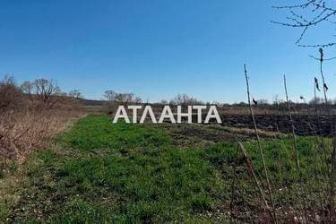 Участок по адресу ул. Зои Космодемянськои (площадь 24 сот) - фото 13 Участок по адресу ул. Зои Космодемянськои (площадь 24 сот) - Atlanta.ua - фото 13
