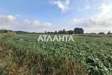Участок по адресу Хмельницкое шоссе (площадь 24,0 сот) - imageAlt 9 Участок по адресу Хмельницкое шоссе (площадь 24,0 сот) - Atlanta.ua - imageAlt 9