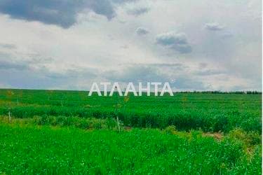 Участок по адресу ул. Песочная (площадь 6,8 сот) - imageAlt 9 Участок по адресу ул. Песочная (площадь 6,8 сот) - Atlanta.ua - imageAlt 9