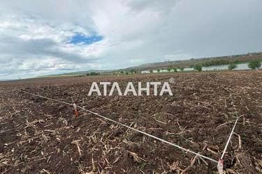 Участок по адресу Чкалова Валерія пров. (площадь 12,5 сот) - фото 12 Участок по адресу Чкалова Валерія пров. (площадь 12,5 сот) - Atlanta.ua - фото 12