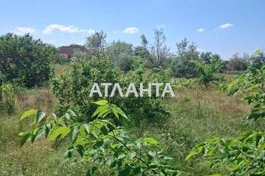 Дом по адресу ул. Мира (площадь 74 м²) - imageAlt 17 Дом по адресу ул. Мира (площадь 74 м²) - Atlanta.ua - imageAlt 17