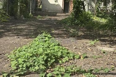Будинок за адресою вул. Набережна (площа 80 м²) - фото 10 Будинок за адресою вул. Набережна (площа 80 м²) - Atlanta.ua - фото 10