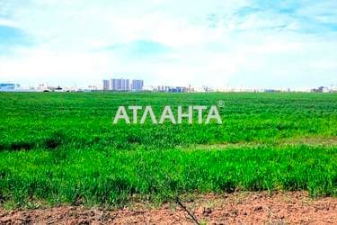 Участок по адресу (площадь 408,9 сот) - imageAlt 8 Участок по адресу (площадь 408,9 сот) - Atlanta.ua - imageAlt 8