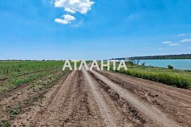 Участок по адресу (площадь 8 сот) - imageAlt 12 Участок по адресу (площадь 8 сот) - Atlanta.ua - imageAlt 12