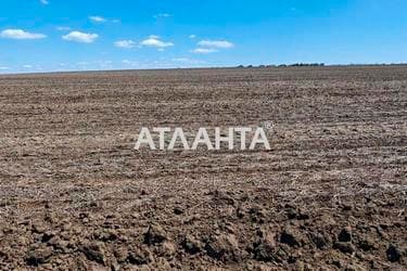 Участок по адресу (площадь 8 сот) - imageAlt 13 Участок по адресу (площадь 8 сот) - Atlanta.ua - imageAlt 13