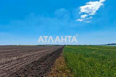 Участок по адресу (площадь 8 сот) - imageAlt 15 Участок по адресу (площадь 8 сот) - Atlanta.ua - imageAlt 15