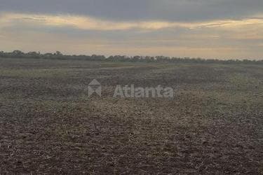 Об'єкт знятий з продажі - фото 19 Об'єкт знятий з продажі - Atlanta.ua - фото 19